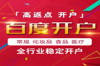 百度推广实战技巧：案例详解